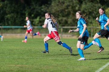 Bild 120 - wBJ VfL Pinneberg - Hamburger SV 2 : Ergebnis: 1:3